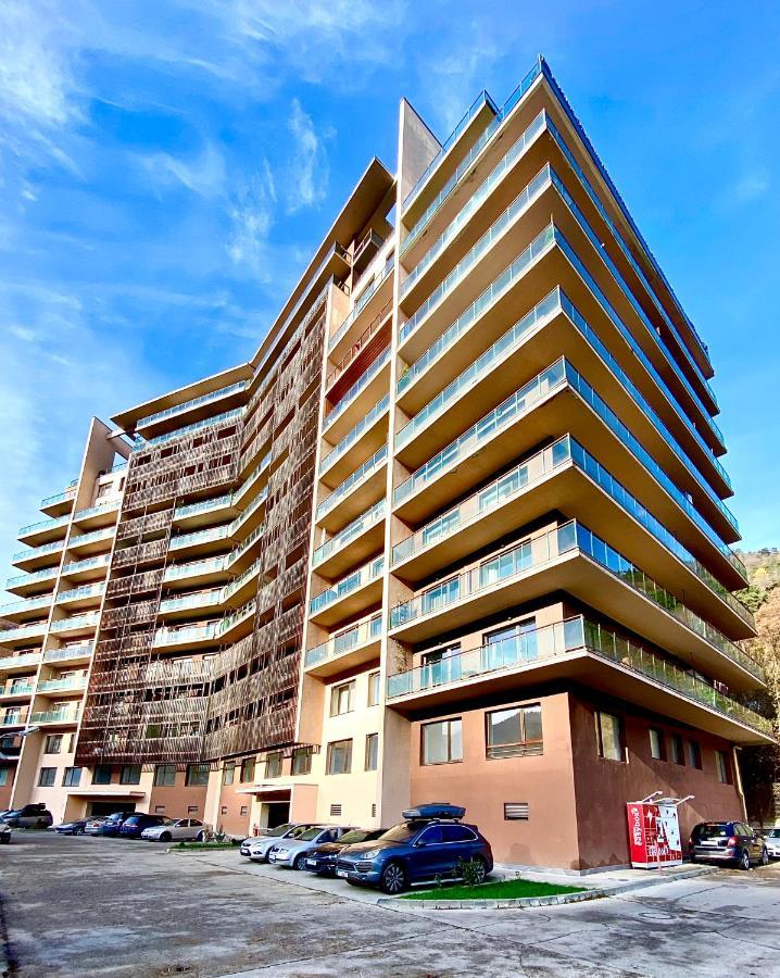 Cosy Hollow - Pet Friendly Брашов Экстерьер фото